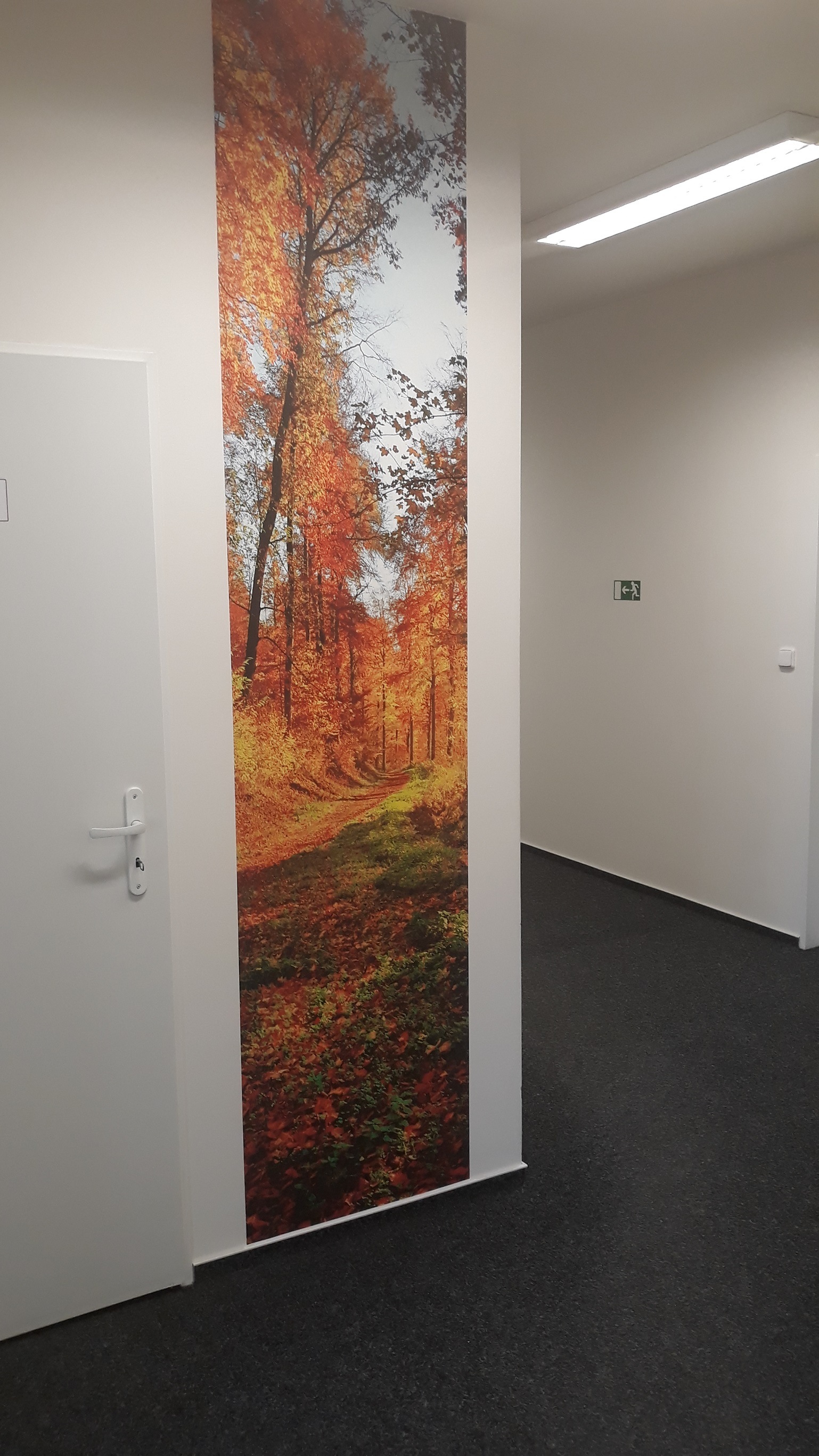 dekorační pás slunný les