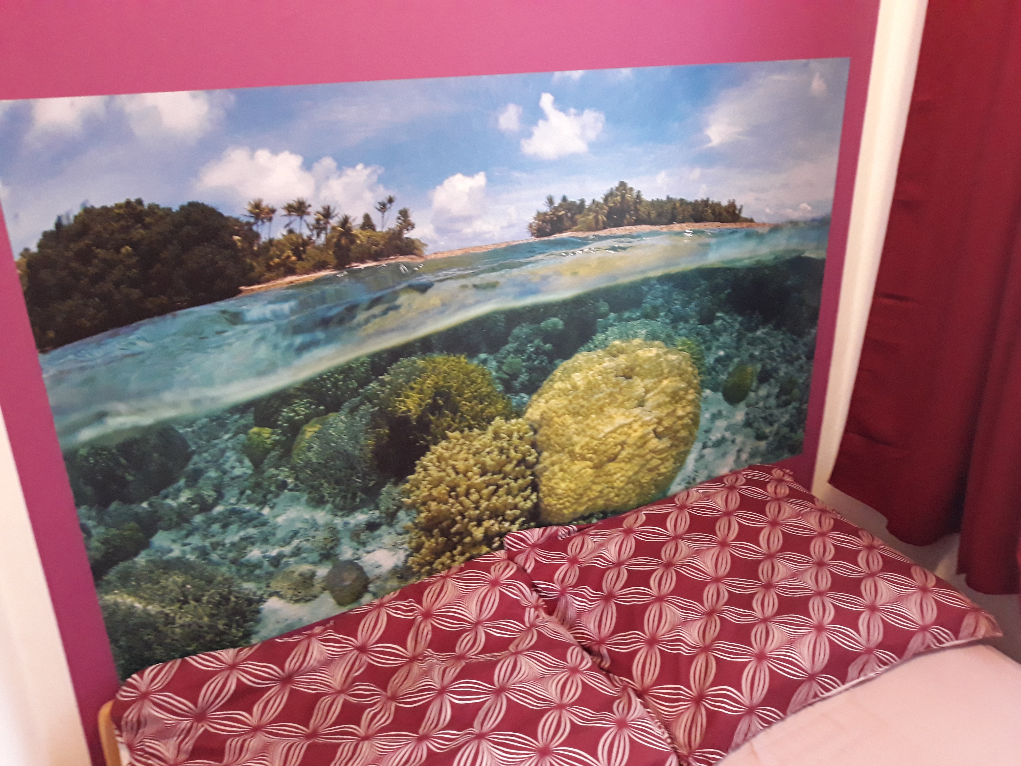 Vliesová fototapeta korálový útes