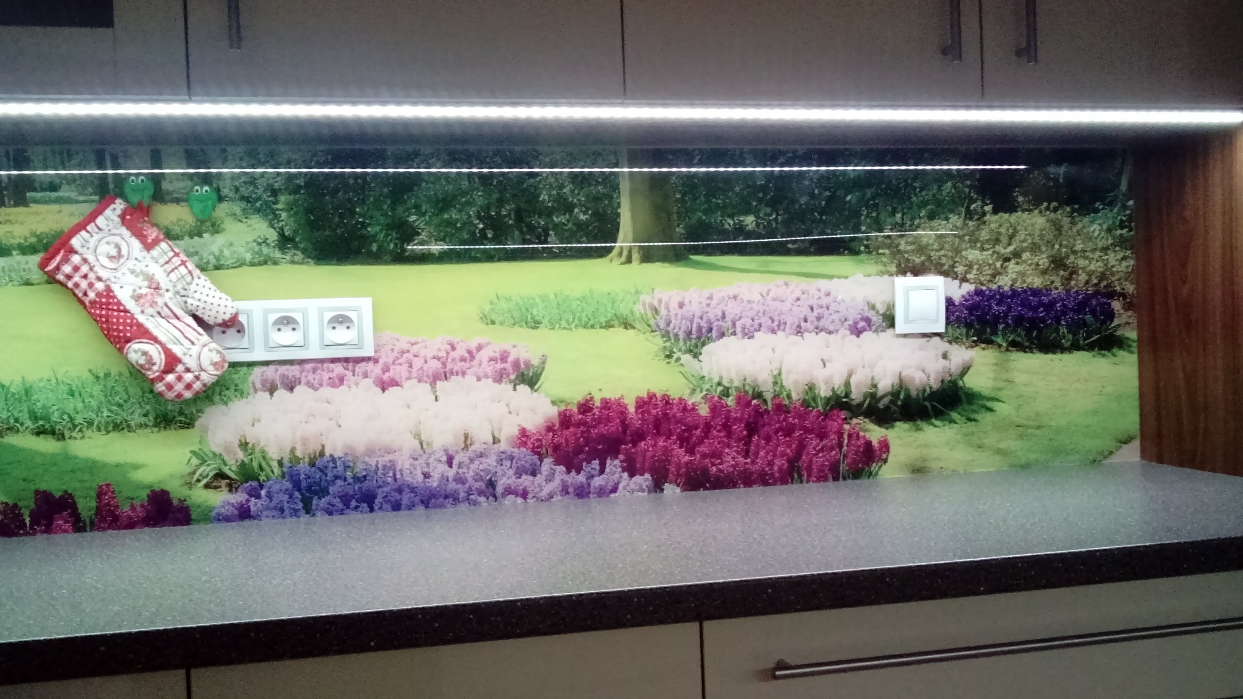 Skleněná zástěna Zahrada