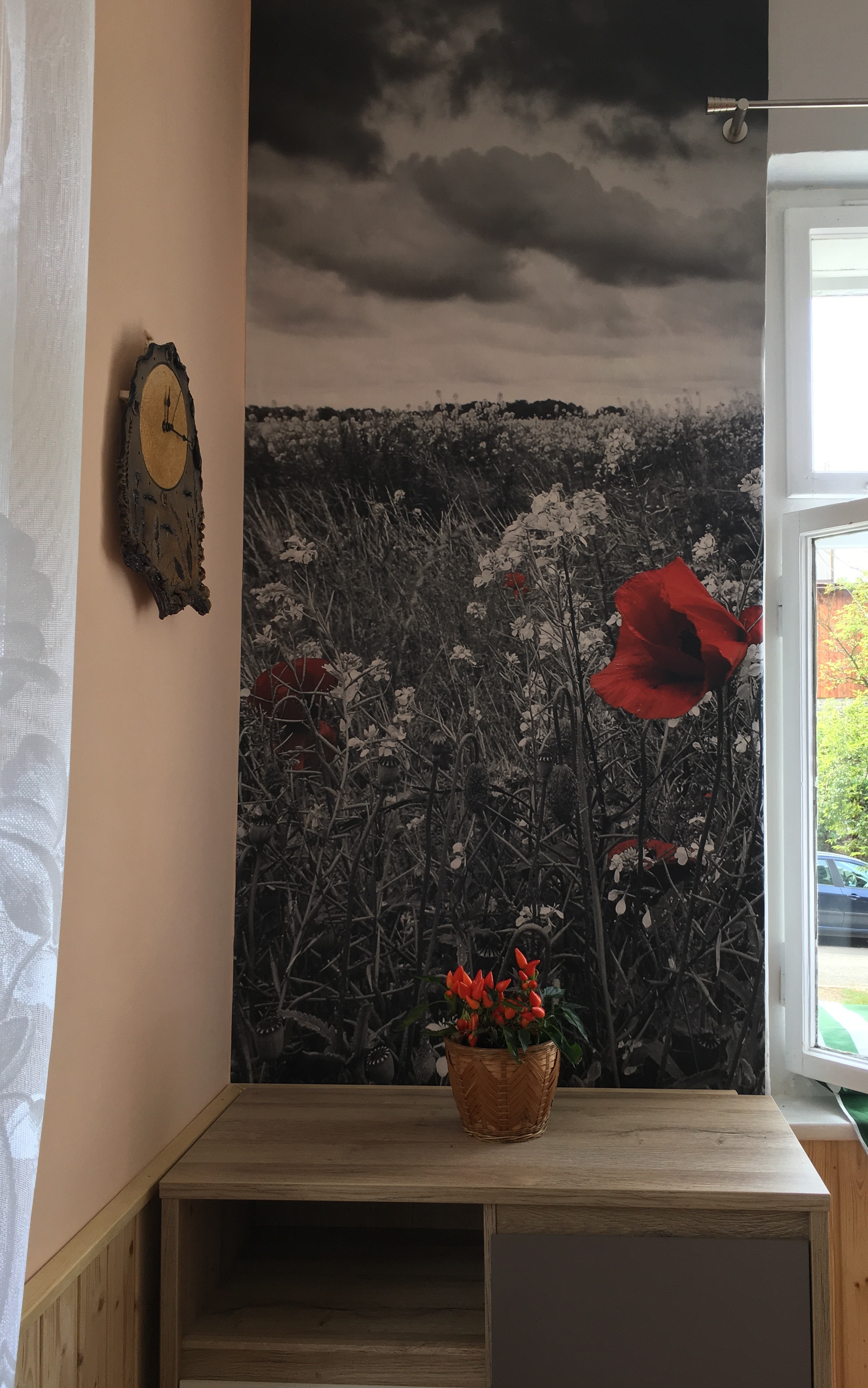 Vliesová fototapeta černobílé vlčí máky