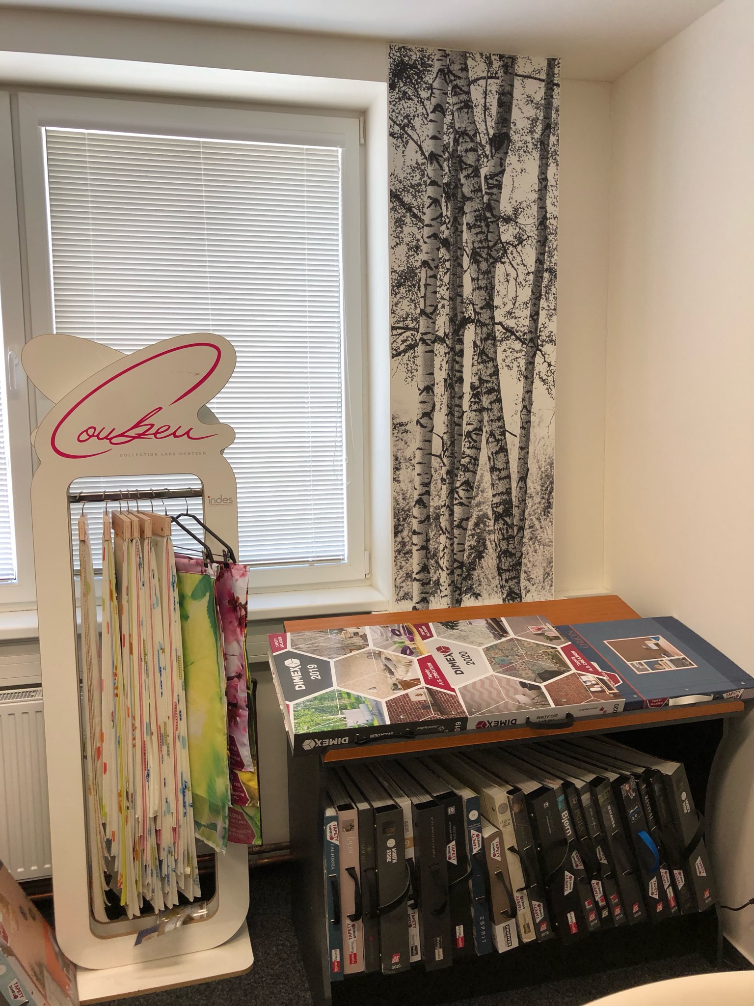 Dekorační pás břízy